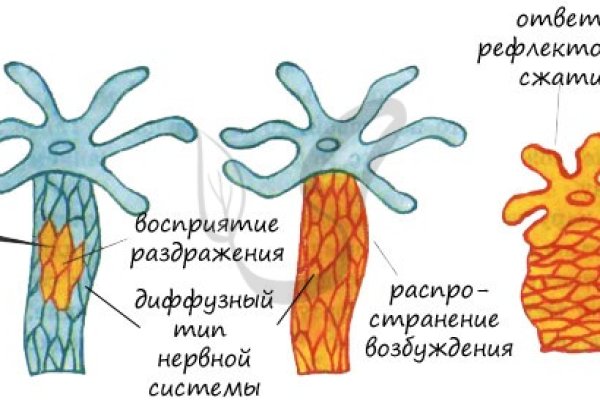 Кракен порошок