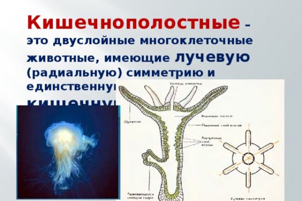 Kraken актуальный сайт