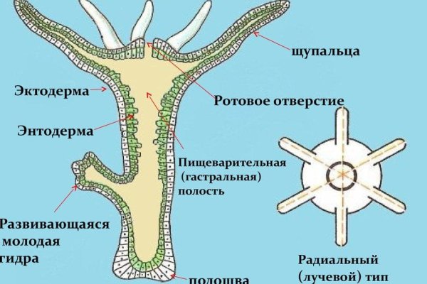Кракен это что за магазин